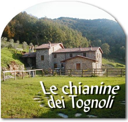ホテルLe Chianine Dei Tognoli Gragnola エクステリア 写真